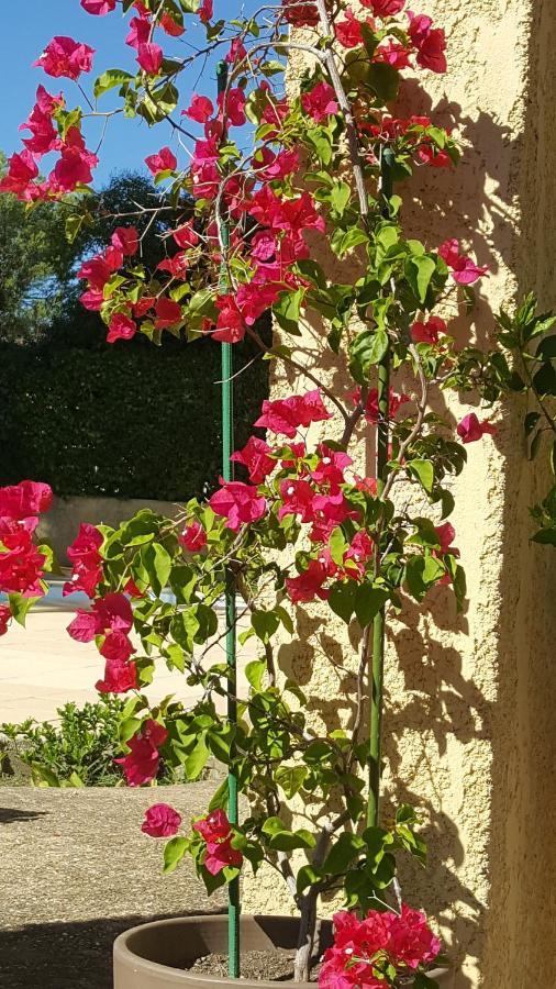 Langlade La Demeure D'Helice Bed & Breakfast エクステリア 写真